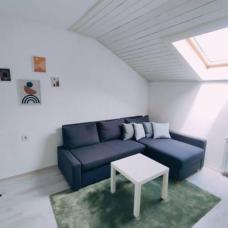 Udoban Stan Sa Terasom U Mirnom Okruzenju Apartment ซาเกร็บ ภายนอก รูปภาพ